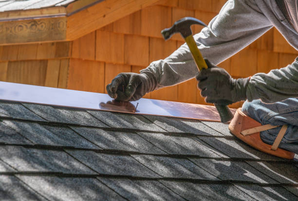 Best Roof Insulation Installation  in Pine Ridge, FL