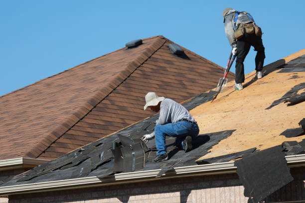 Best Roof Ventilation Installation  in Pine Ridge, FL